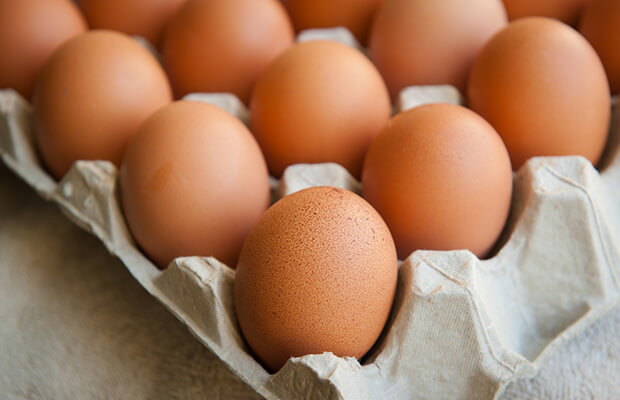 در روز چند تا تخم مرغ مجازیم بخوریم؟