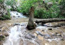 درباره آبشار آق سو در جنگل های گلستان